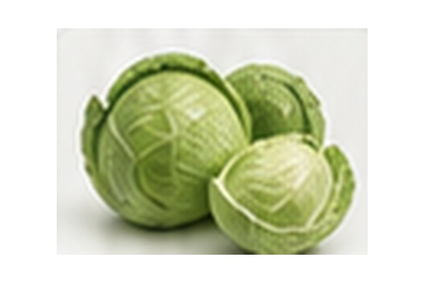 Cabbage Heads