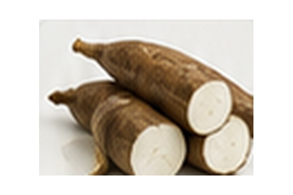 Cassava
