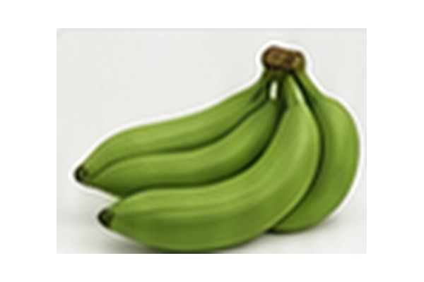 Plantain