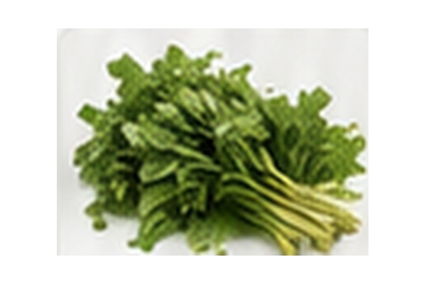 Potato Greens